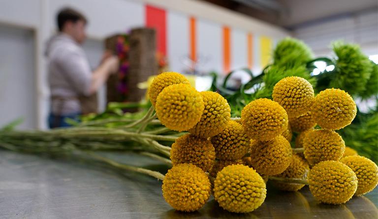 Qualifications régionales Meilleur apprenti de France fleuriste à l'EDM